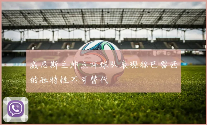 威尼斯主帅点评球队表现称巴雷西的独特性不可替代