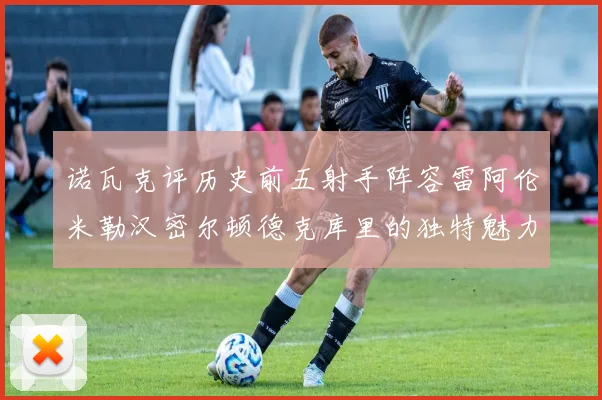 诺瓦克评历史前五射手阵容雷阿伦米勒汉密尔顿德克库里的独特魅力与影响