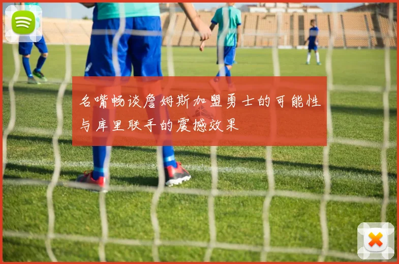 名嘴畅谈詹姆斯加盟勇士的可能性与库里联手的震撼效果
