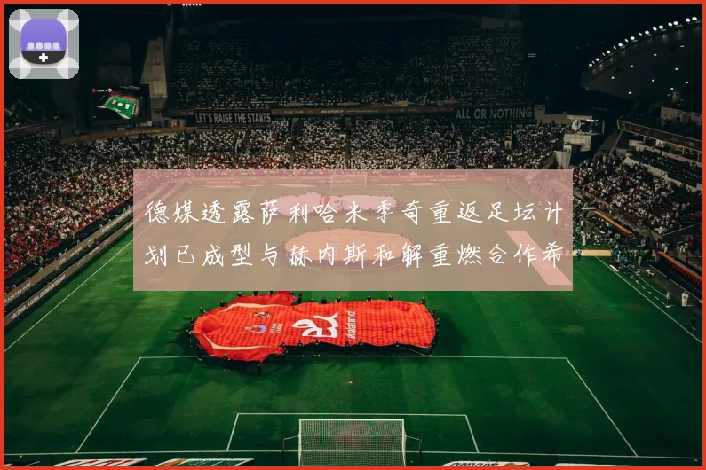 德媒透露萨利哈米季奇重返足坛计划已成型与赫内斯和解重燃合作希望